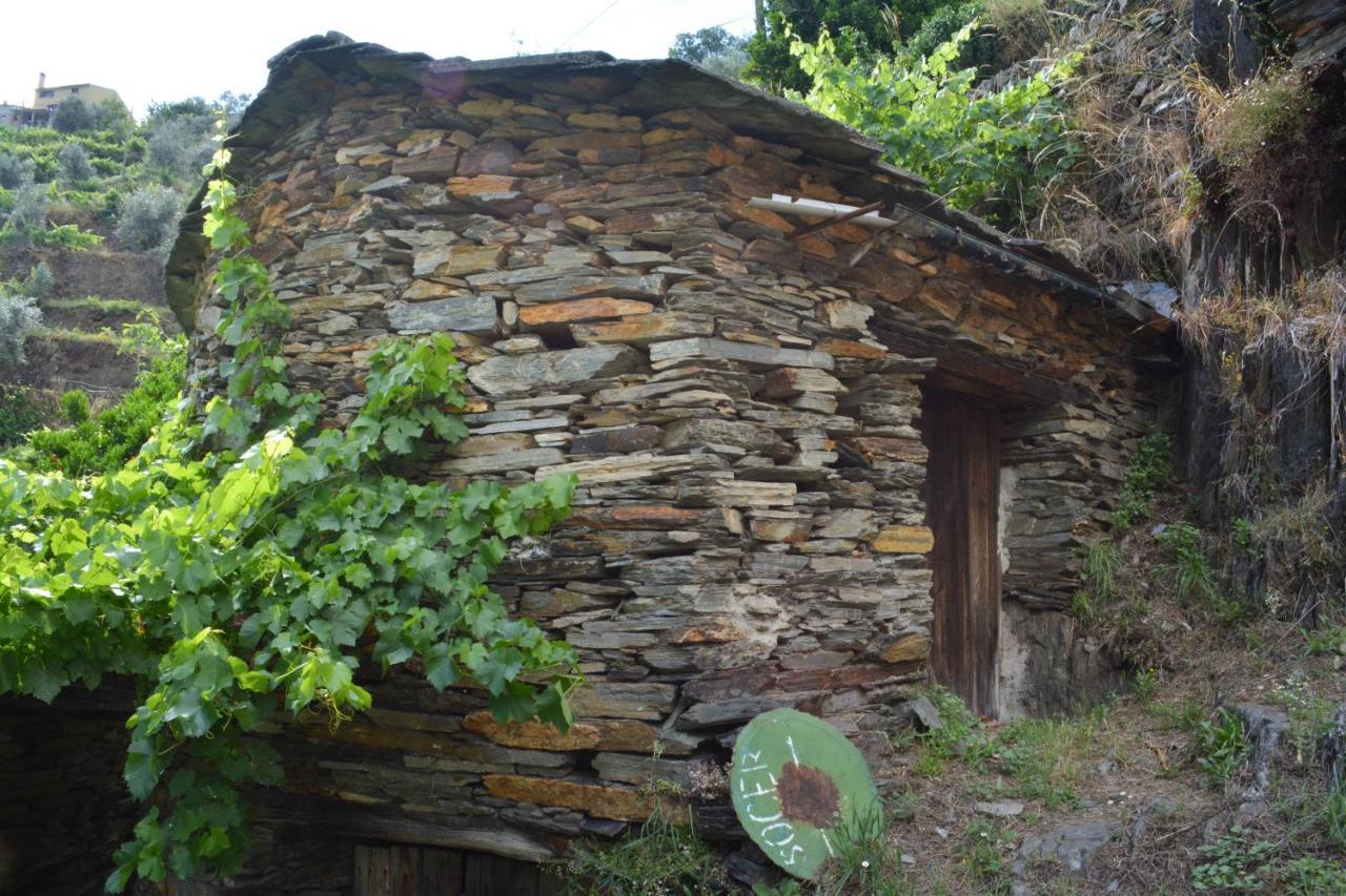 Casa Do Azereiro Villa Casal do Rei  Exterior foto
